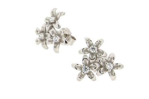 Zoppini_Iris (7) (1)